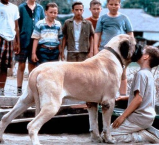 Backyard baseball videos